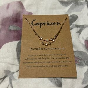 Capricorn zodiac sign necklace
